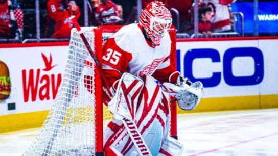Red Wings Goaltending Unsettled (featured)